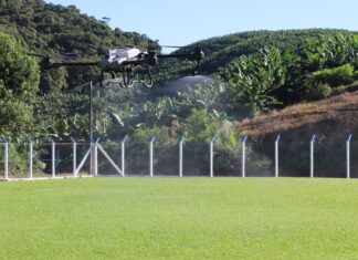 Luiz Alves inicia testes com “Controlador Biológico do Maruim”