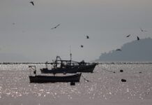 Programa Jovem Cientista da Pesca Artesanal: CNPq e Ministério da Pesca oferecem 700 bolsas para jovens de comunidades pesqueiras