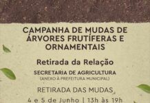 Barra Velha tem Campanha de Mudas de Árvores Frutíferas e Ornamentais