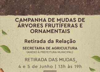 Barra Velha tem Campanha de Mudas de Árvores Frutíferas e Ornamentais