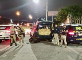 Ação conjunta PRF e PM apreende uma tonelada de maconha em Balneário Camboriú
