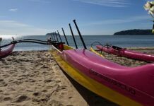 Balneário Piçarras ganha clube de canoagem havaiana