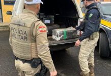 Caminhonete roubada é apreendida com quase meia tonelada de maconha