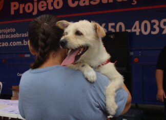 Balneário Piçarras: Restam 60 vagas para o mutirão de castração de cães e gatos