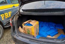 PRF localiza 50 kg de maconha em automóvel na BR-101, em Penha