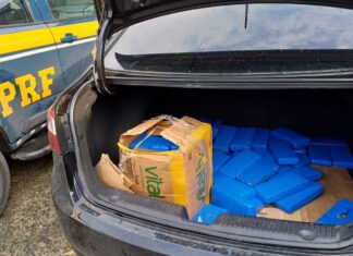 PRF localiza 50 kg de maconha em automóvel na BR-101, em Penha