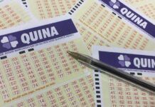 Quina acumula e próximo concurso deve pagar R$ 13 milhões; aposta de SC fatura mais de R$ 18 mil na quadra