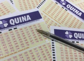 Quina acumula e próximo concurso deve pagar R$ 13 milhões; aposta de SC fatura mais de R$ 18 mil na quadra