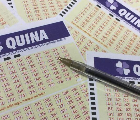 Quina acumula e próximo sorteio pode pagar R$ 4 milhões; quatro apostas de SC faturam quase R$ 8 mil