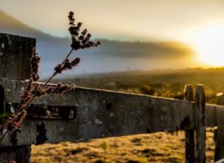 Inverno começa nesta quinta-feira (20) com previsão de chuvas e temperaturas próximas da média