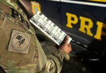 250 mil maços de cigarros paraguaios são localizados escondidos em carreta na BR-101, em Biguaçu