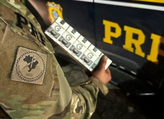 250 mil maços de cigarros paraguaios são localizados escondidos em carreta na BR-101, em Biguaçu