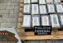 Polícia Federal e Receita Federal apreendem cerca de 33 kg de cocaína no Porto de Itapoá