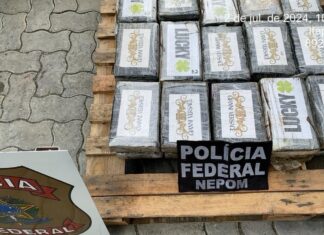 Polícia Federal e Receita Federal apreendem cerca de 33 kg de cocaína no Porto de Itapoá