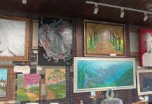Exposição “Efeitos Colaterais” segue até dia 2, na Casa de Palmitos