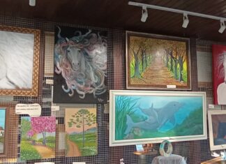 Exposição “Efeitos Colaterais” segue até dia 2, na Casa de Palmitos