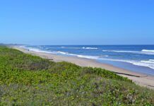 Corpo é encontrado na Praia do Ervino, em São Francisco do Sul