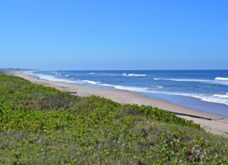 Corpo é encontrado na Praia do Ervino, em São Francisco do Sul