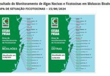 Cidasc mantém proibição de retirada, comercialização e consumo de ostras e mariscos de Penha