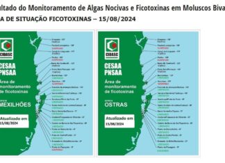 Cidasc mantém proibição de retirada, comercialização e consumo de ostras e mariscos de Penha