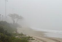 Nevoeiro marítimo e fumaça de queimadas marcam o início da semana em Santa Catarina