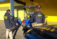 PRF localiza 263 kg de maconha em automóvel na BR-101 em Joinville