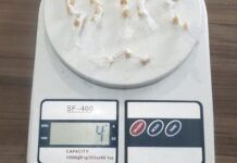 Mulheres são presas por tráfico de tráfico de drogas, no Itacolomi