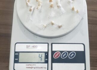 Mulheres são presas por tráfico de tráfico de drogas, no Itacolomi