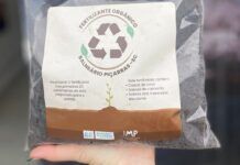 Instituto do Meio Ambiente de Balneário Piçarras realiza distribuição gratuita de adubo
