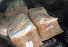 Maconha e skunk são apreendidos pela PRF na BR-101 em Joinville