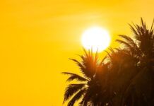 Brasil não adotará horário de verão neste ano