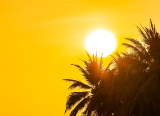 Brasil não adotará horário de verão neste ano