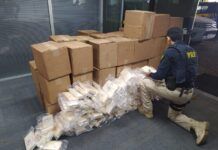 Carreta é interceptada na BR-101, em Itajaí, com 1,36 toneladas de cocaína