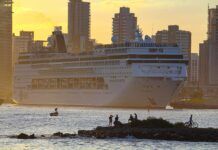 Itajaí tem 85 escalas de cruzeiros confirmadas até 2026