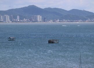 Relatório anual aponta Penha como a segunda maior produtora de mariscos em nível nacional