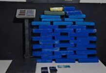 Operação conjunta apreende mais de 26 quilos de maconha em Barra Velha