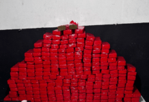 Polícia Militar apreende mais de 170 quilos de drogas em Itajaí