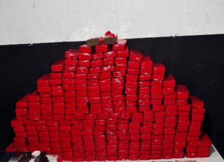 Polícia Militar apreende mais de 170 quilos de drogas em Itajaí