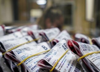 Balneário Piçarras abre cadastro para doação de sangue na Policlínica Municipal no dia 4 de novembro