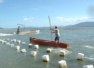 Maricultores: prazo para envio do Relatório Anual de Produção vai até 31 de março