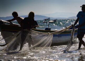Governador vai ao STF para reverter medida de cotas para a pesca da tainha imposta pelo governo federal