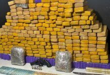 Polícia Militar apreende mais de 190 kg de drogas e arma de fogo em Itajaí