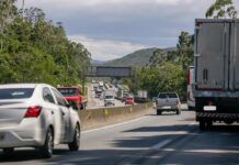 Arteris Litoral Sul realizará poda de árvores na BR-101, em Penha