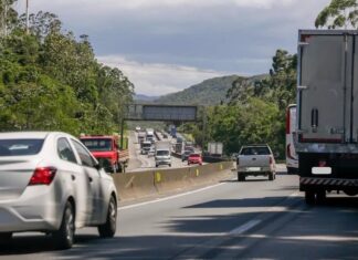 Arteris Litoral Sul realizará poda de árvores na BR-101, em Penha