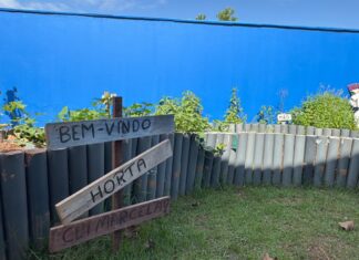 Balneário Piçarras: Investimento anual com a merenda escolar passa de R$ 2 milhões com alimentação balanceada aos mais de 6 mil alunos da rede municipal