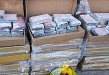 Polícia Federal deflagra operação de combate ao tráfico transnacional de drogas ocultas em alimentos congelados
