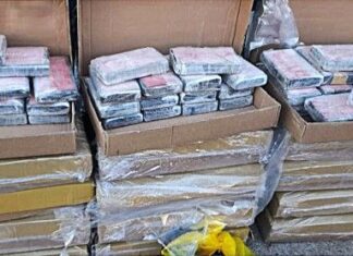 Polícia Federal deflagra operação de combate ao tráfico transnacional de drogas ocultas em alimentos congelados