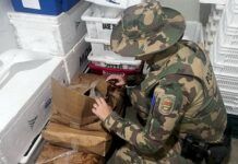 Operação apreende mais de meia tonelada de pescado irregular no litoral catarinense