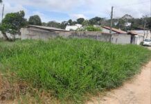 Nova lei reforça regras para limpeza de terrenos baldios em Barra Velha