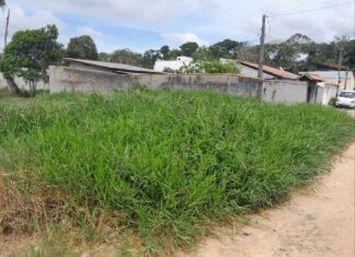 Nova lei reforça regras para limpeza de terrenos baldios em Barra Velha